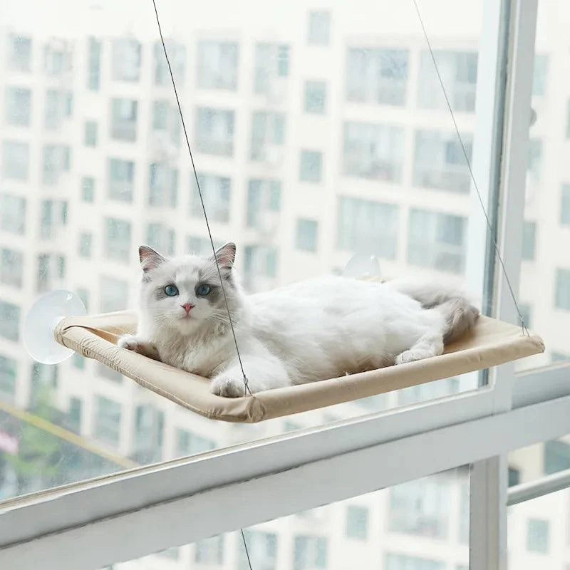 Pet Hanging Bed: A Cozy Oasis for Your Furry Friend! 🐱🪑💤Treat your beloved pet to the lap of luxury with our Comfortable Pet Hanging Bed. It's not just a pet bed; it's their cozy haven, a place to dream, relax, and enjoy SHOP ALL I WANTShop All I WantPet Hanging
