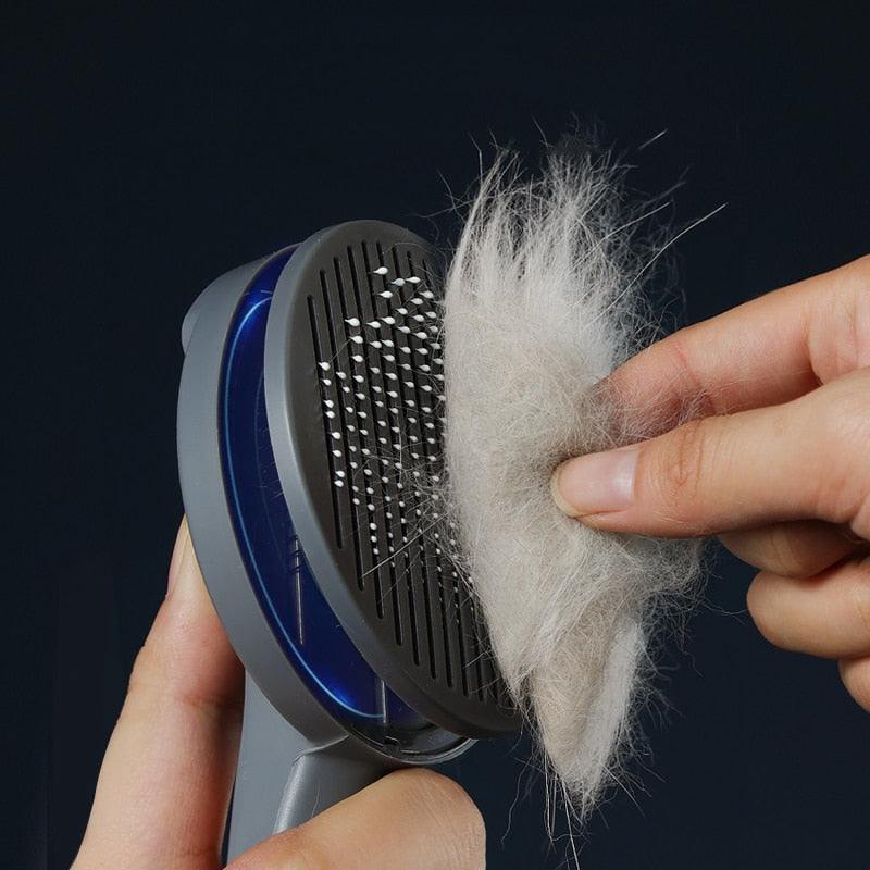 Pet Hair BrushIntroducing our Pet Hair Brush, the ultimate solution to keeping your home clean and your pet's coat healthy. Say farewell to stubborn pet hair on furniture, carpetsSHOP ALL I WANTShop All I WantPet Hair Brush