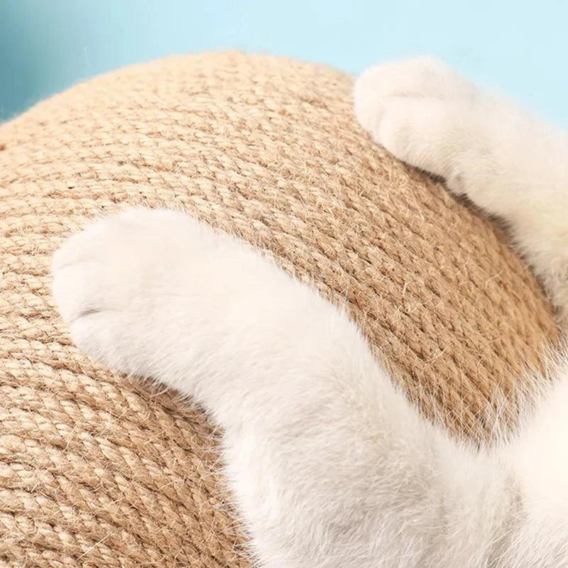 Cat Scratching Ball ToyKeep Your Cat Entertained and Happy with Our Cat Scratching Ball Toy!
Introducing our Cat Scratching Ball Toy, designed to provide endless hours of fun and entertainSHOP ALL I WANTShop All I WantCat Scratching Ball Toy