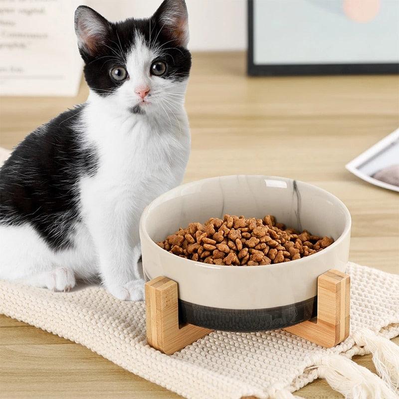 Ceramic Pet Bowls and StandsElevate Mealtime for Your Pets with Our Ceramic Pet Bowl Stand!
Introducing our Ceramic Pet Bowl Stand, designed to make mealtime a more enjoyable and comfortable exSHOP ALL I WANTShop All I WantCeramic Pet Bowls