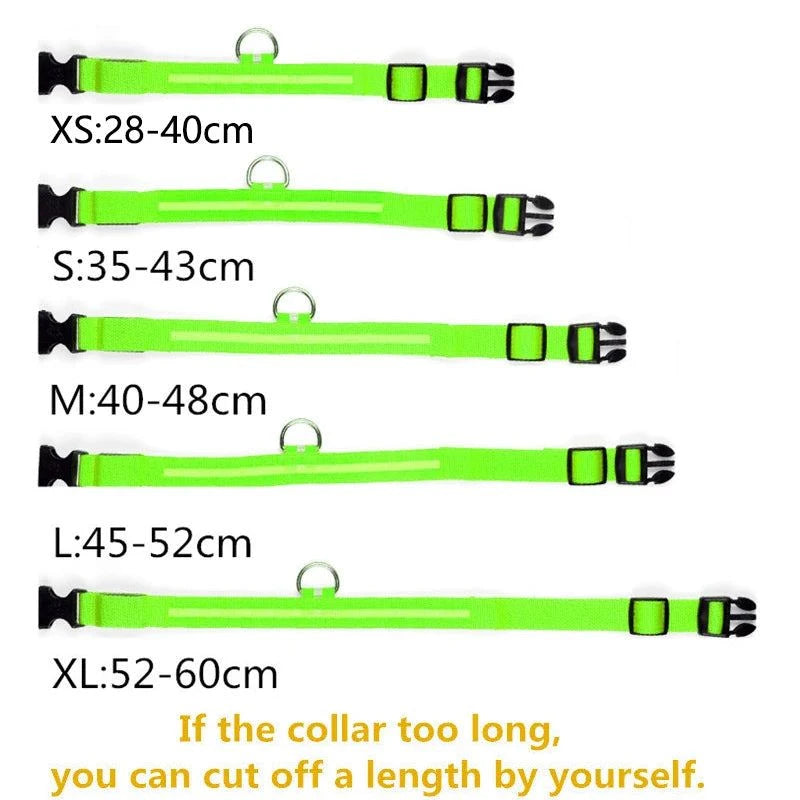 Rechargeable, Waterproof Glow in the Dark Collar ! 🐾💡Introducing our Rechargeable, Waterproof Glow in the Dark Collar – the perfect blend of style, safety, and practicality for your furry companion! 🐾💡
💡 Glow in theSHOP ALL I WANTShop All I WantGlow in the Dark Collar