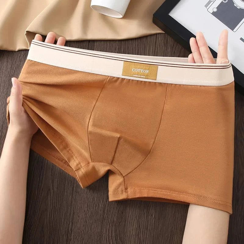 π©² 3PCS Men's Cotton Boxer Shorts β Comfortable and BreathableEnhance your everyday comfort with the 3PCS Men's Cotton Boxer Shorts. These solid color boxers offer a perfect blend of comfort, breathability, and style.
Benefits:SHOP ALL I WANTShop All I WantCotton Boxer Shorts