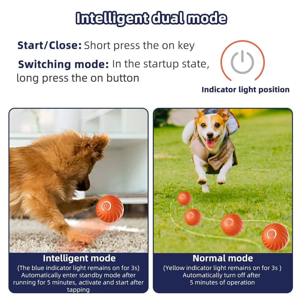 Smart Dog Toy Ball: Interactive Play! 🐾🔵Introducing our Smart Dog Toy Ball – the interactive playmate that engages your furry friend in hours of entertainment and mental stimulation! 🐾🔵
🐾 Intelligent MoSHOP ALL I WANTShop All I WantSmart Dog