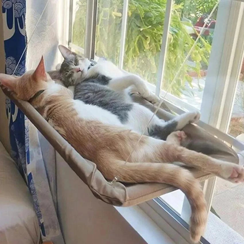 Hanging Cat BedElevate Your Cat's Comfort with Our Hanging Cat Bed!
Introducing our Hanging Cat Bed, the perfect blend of style, comfort, and feline-approved relaxation. Crafted wiSHOP ALL I WANTShop All I WantHanging Cat Bed