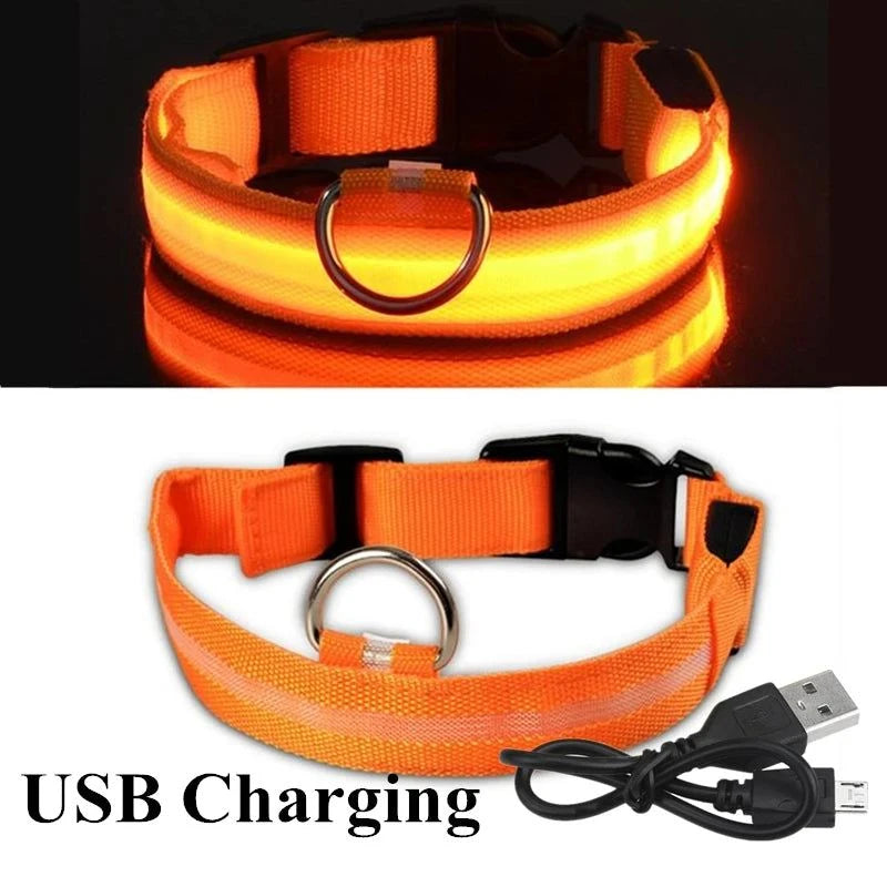 Rechargeable, Waterproof Glow in the Dark Collar ! 🐾💡Introducing our Rechargeable, Waterproof Glow in the Dark Collar – the perfect blend of style, safety, and practicality for your furry companion! 🐾💡
💡 Glow in theSHOP ALL I WANTShop All I WantGlow in the Dark Collar