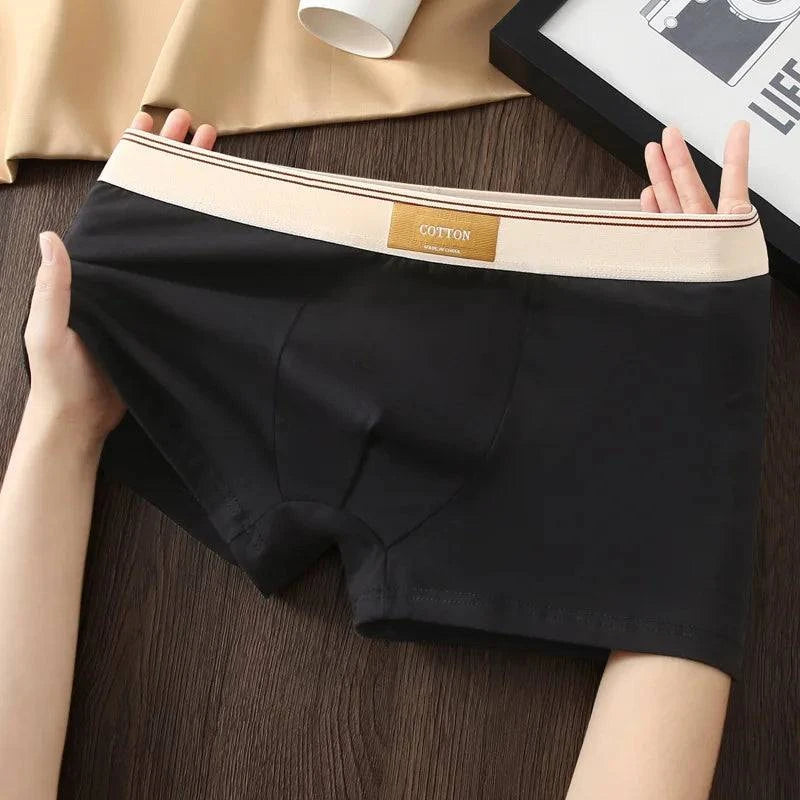 π©² 3PCS Men's Cotton Boxer Shorts β Comfortable and BreathableEnhance your everyday comfort with the 3PCS Men's Cotton Boxer Shorts. These solid color boxers offer a perfect blend of comfort, breathability, and style.
Benefits:SHOP ALL I WANTShop All I WantCotton Boxer Shorts