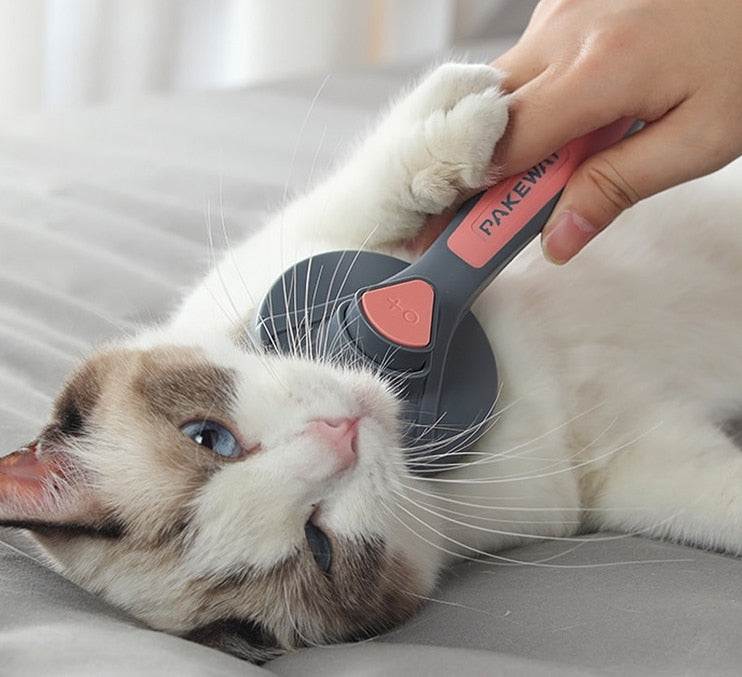 Pet Hair BrushIntroducing our Pet Hair Brush, the ultimate solution to keeping your home clean and your pet's coat healthy. Say farewell to stubborn pet hair on furniture, carpetsSHOP ALL I WANTShop All I WantPet Hair Brush