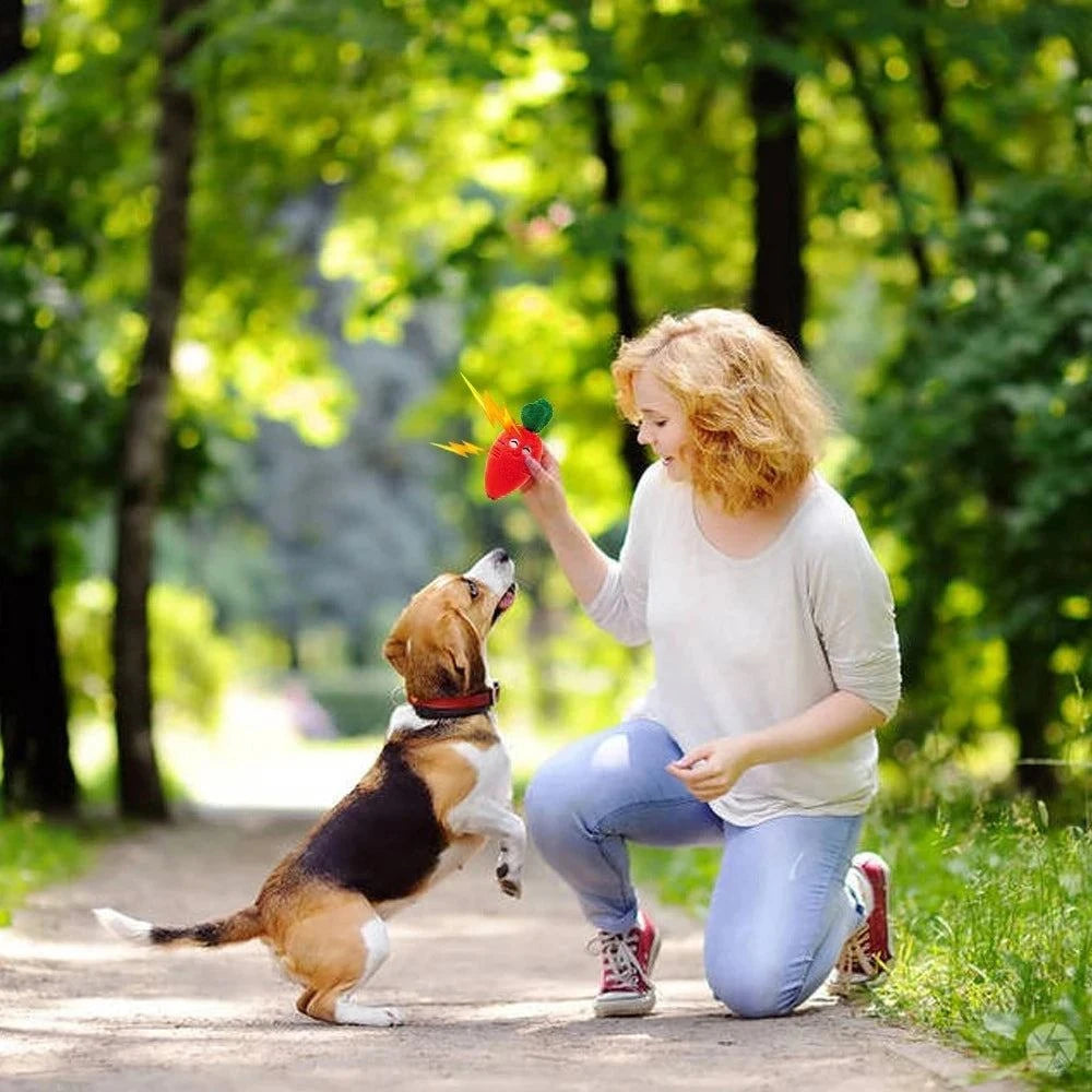 SqueakJoy Pet Plush Toy 🍎🐾Introducing the SqueakJoy Pet Plush Toy – a delightful and interactive playmate that brings joy and excitement to your furry friend's playtime! 🍎🐾
🐾 Playful DesigSHOP ALL I WANTShop All I WantSqueakJoy Pet Plush Toy