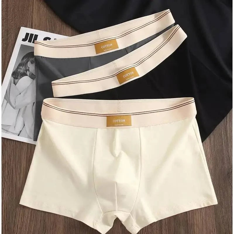 π©² 3PCS Men's Cotton Boxer Shorts β Comfortable and BreathableEnhance your everyday comfort with the 3PCS Men's Cotton Boxer Shorts. These solid color boxers offer a perfect blend of comfort, breathability, and style.
Benefits:SHOP ALL I WANTShop All I WantCotton Boxer Shorts