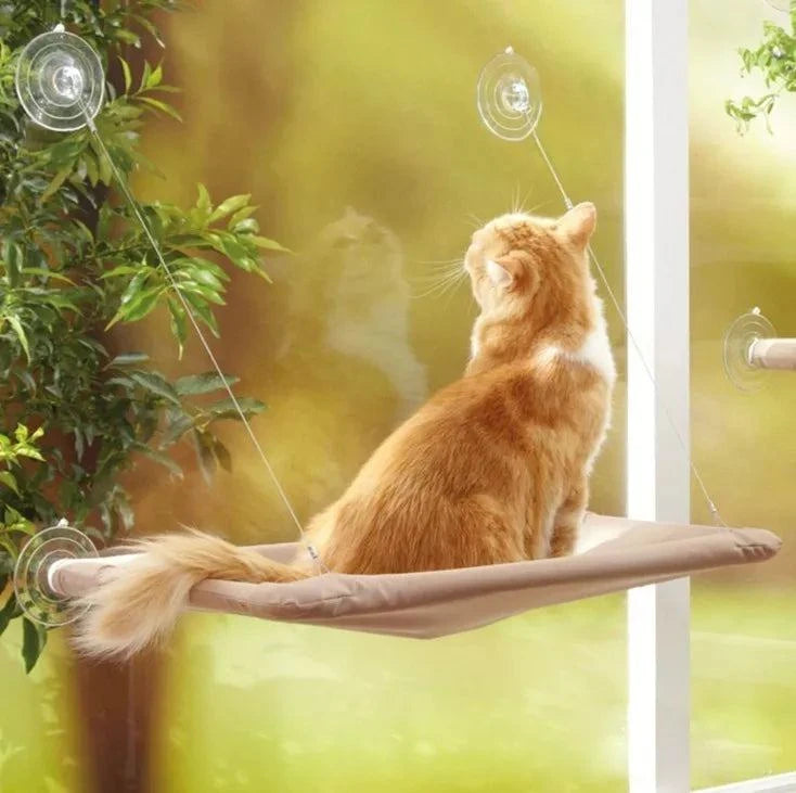 Pet Hanging Bed: A Cozy Oasis for Your Furry Friend! 🐱🪑💤Treat your beloved pet to the lap of luxury with our Comfortable Pet Hanging Bed. It's not just a pet bed; it's their cozy haven, a place to dream, relax, and enjoy SHOP ALL I WANTShop All I WantPet Hanging