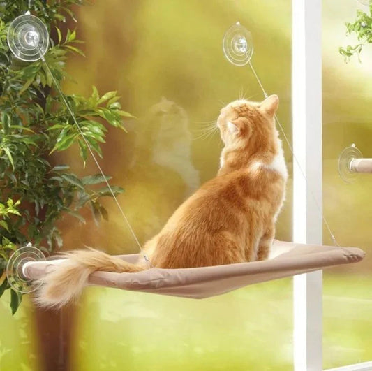Pet Hanging Bed: A Cozy Oasis for Your Furry Friend! 🐱🪑💤Treat your beloved pet to the lap of luxury with our Comfortable Pet Hanging Bed. It's not just a pet bed; it's their cozy haven, a place to dream, relax, and enjoy SHOP ALL I WANTShop All I WantPet Hanging