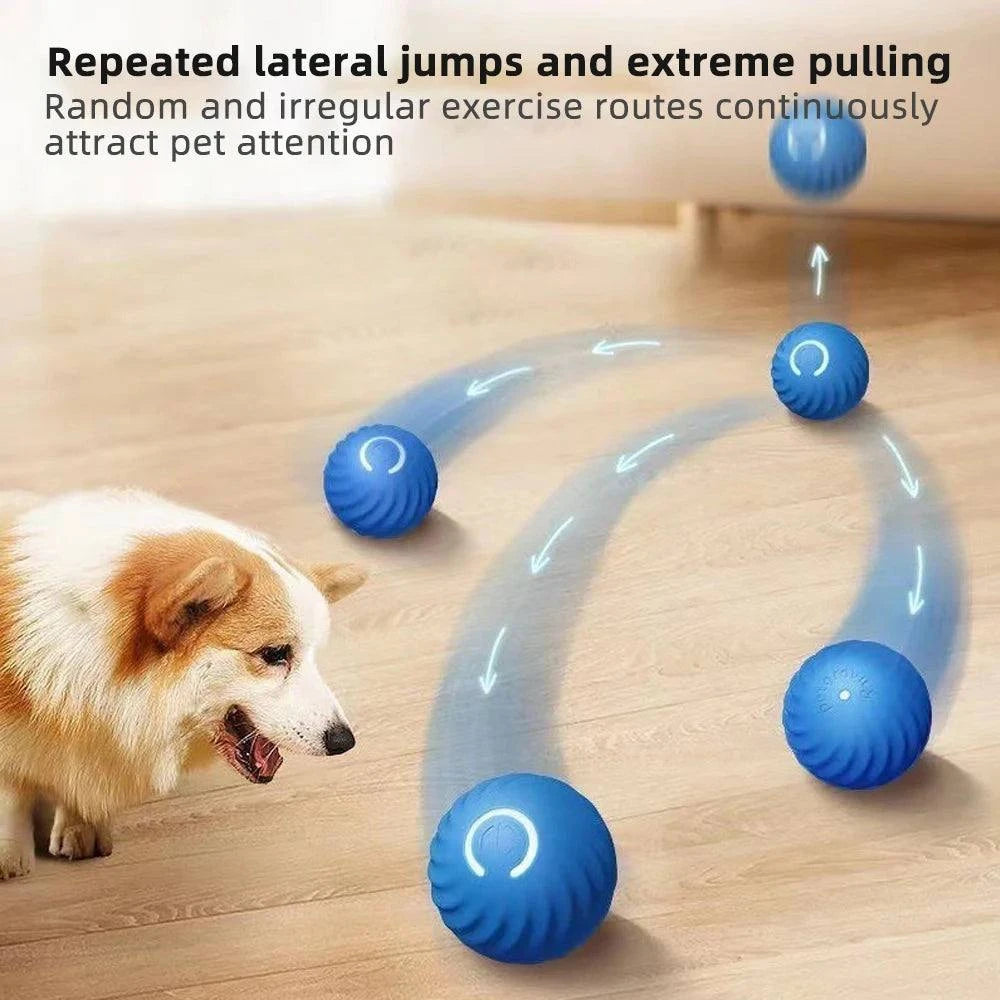 Smart Dog Toy Ball: Interactive Play! 🐾🔵Introducing our Smart Dog Toy Ball – the interactive playmate that engages your furry friend in hours of entertainment and mental stimulation! 🐾🔵
🐾 Intelligent MoSHOP ALL I WANTShop All I WantSmart Dog