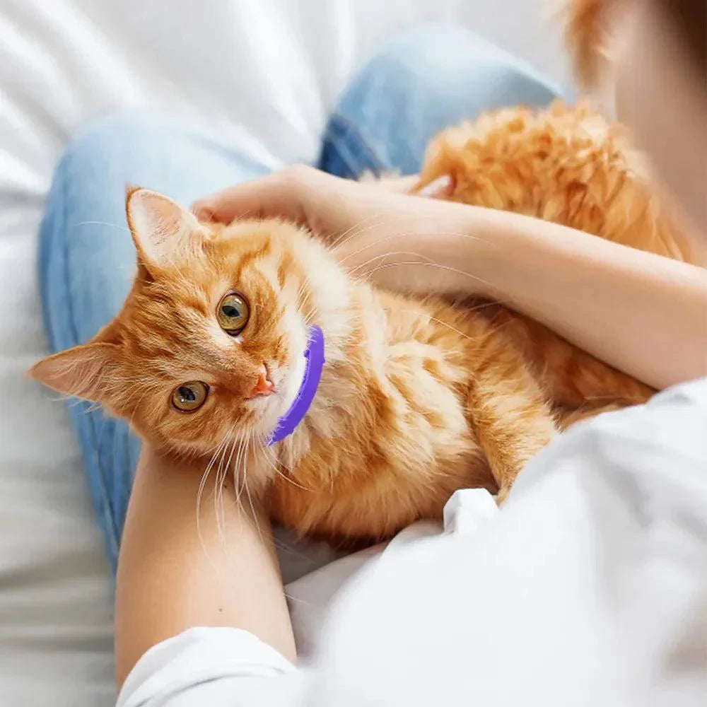 Shop All I Want Long-lasting Protection: Flea and tick collar for dogs and cats up to Introducing our Long-lasting Protection Flea and Tick Collar for Dogs and Cats β the ultimate defense against those pesky pests! πΎπ«π¦
Say farewell to the constant SHOP ALL I WANTShop All I WantLong lasting