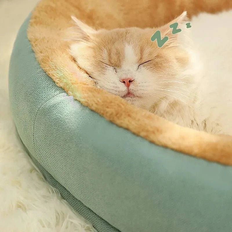 Soft Comfy Pet Bed 🐾Give Your Furry Friend the Gift of Comfort with Our Soft Comfy Pet Bed!
Introducing our Soft Comfy Pet Bed, designed to provide your beloved pet with the coziest andSHOP ALL I WANTShop All I WantSoft Comfy Pet Bed
