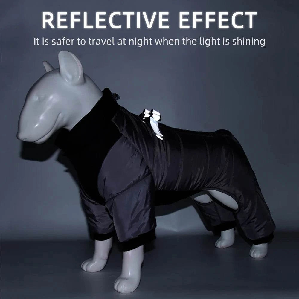 Stay Stylish and Warm: Reflective, waterproof, windproof winter jacketIntroducing the Reflective, Waterproof, Windproof Winter Jacket for French Bulldogs – the perfect blend of style and functionality to keep your furry friend warm andSHOP ALL I WANTShop All I WantStay Stylish