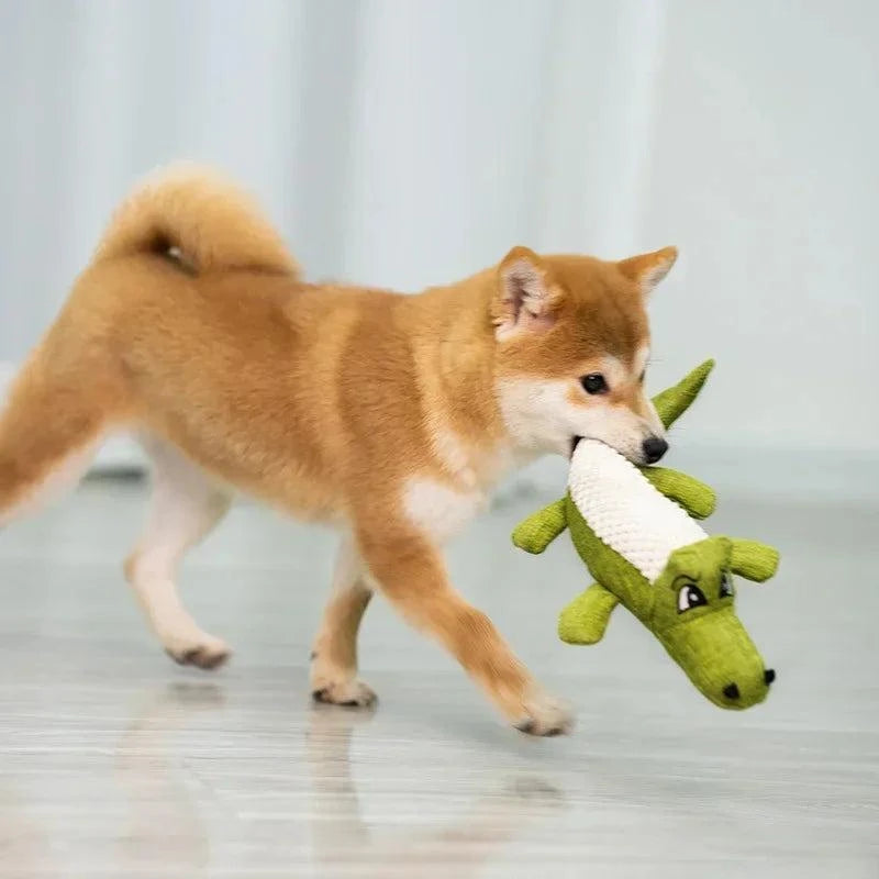 Alligator Chew Toy 🐾🦷Treat Your Pup to Chewable Fun with Our Alligator Chew Toy! 🐾🦷
Indulge your furry friend with the joy of chewing and playing with our Alligator Chew Toy. SpeciallySHOP ALL I WANTShop All I WantAlligator Chew Toy 🐾🦷