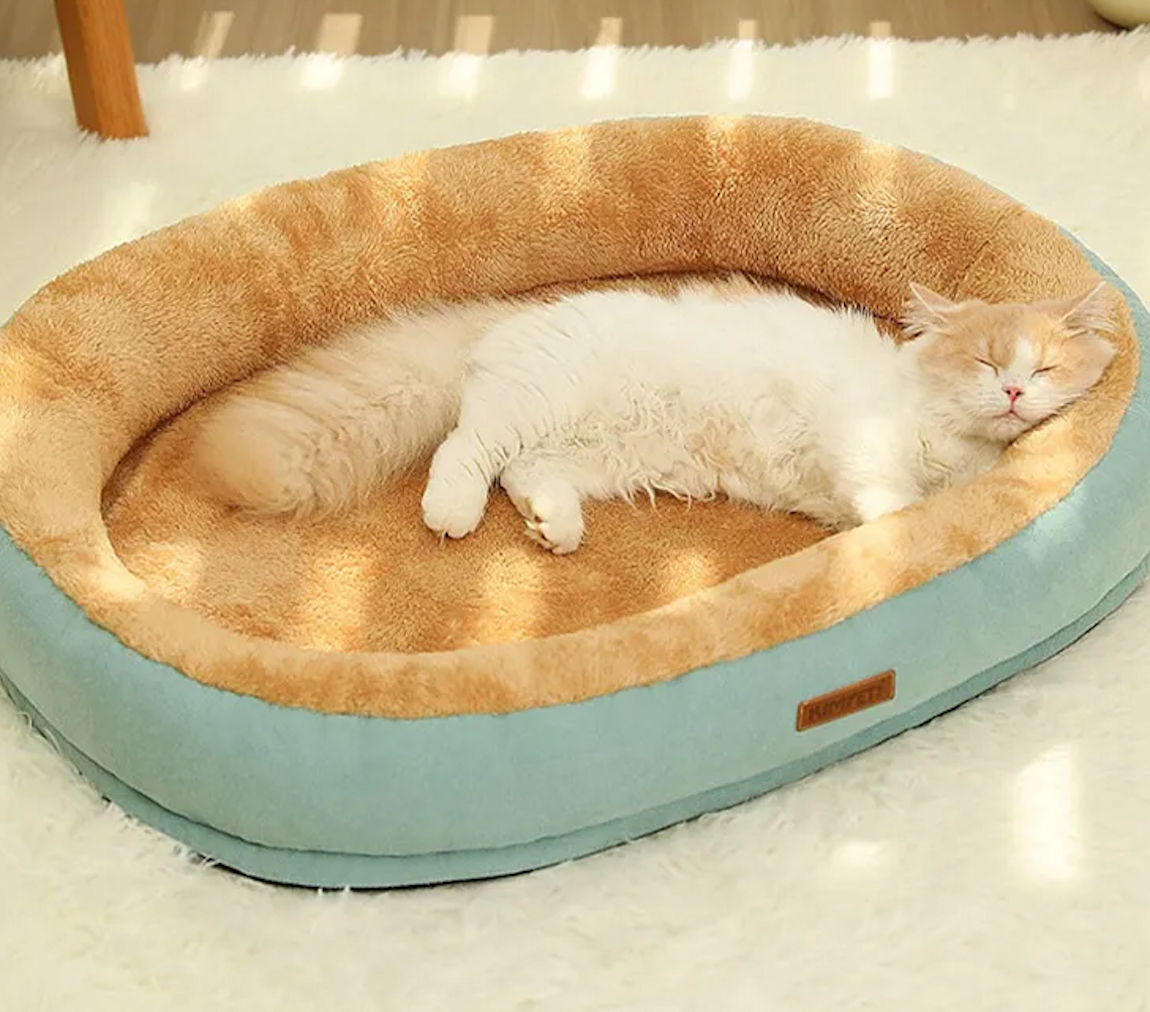 Soft Comfy Pet Bed 🐾Give Your Furry Friend the Gift of Comfort with Our Soft Comfy Pet Bed!
Introducing our Soft Comfy Pet Bed, designed to provide your beloved pet with the coziest andSHOP ALL I WANTShop All I WantSoft Comfy Pet Bed