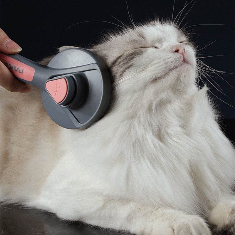 Pet Hair BrushIntroducing our Pet Hair Brush, the ultimate solution to keeping your home clean and your pet's coat healthy. Say farewell to stubborn pet hair on furniture, carpetsSHOP ALL I WANTShop All I WantPet Hair Brush