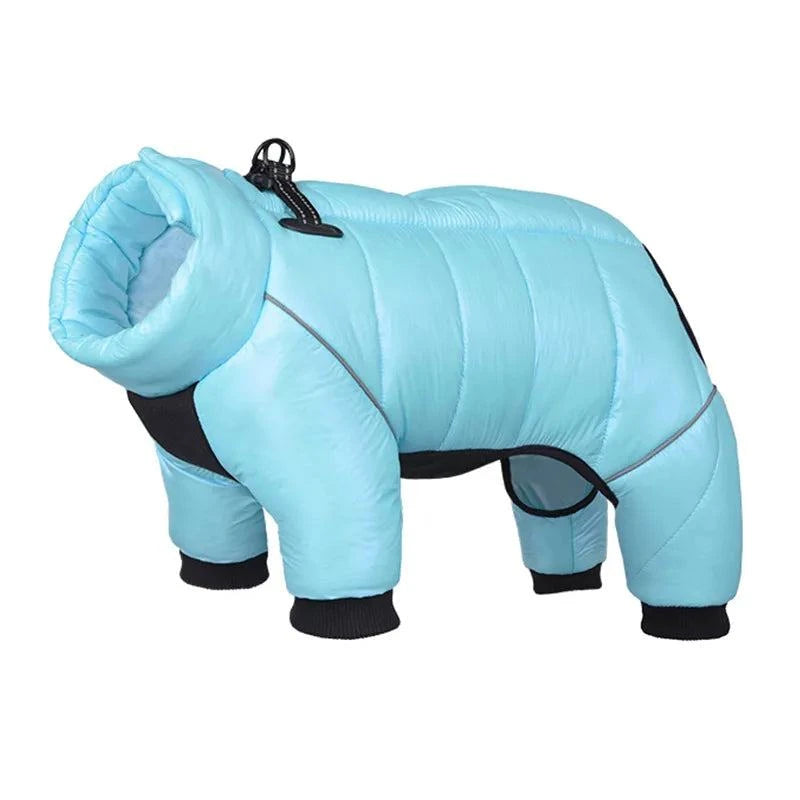Winter Waterproof Dog Down Jacket 🐾🧥 #PetCoatEnsure Cozy Warmth with the Winter Waterproof Dog Down Jacket: Stylish Pet Coat for Cold-Weather Comfort! 🐾🧥 #PetCoat
Introducing the Winter Waterproof Dog Down JaShop All I WantShop All I WantWinter Waterproof Dog