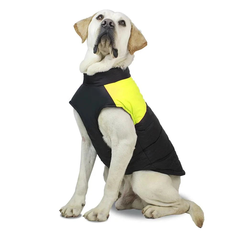 Cozy Pet Winter Vest: Keep your furry friend warm in style this seasonElevate Your Pet's Winter Style with the Cozy Pet Winter Vest: Keep Your Furry Friend Warm in Style This Season! 🐾❄️
Ensure your pet stays warm and fashionable duriSHOP ALL I WANTShop All I WantCozy Pet