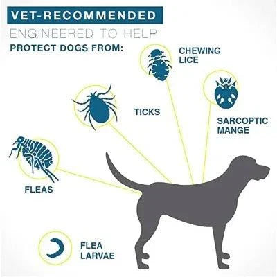 Shop All I Want Long-lasting Protection: Flea and tick collar for dogs and cats up to Introducing our Long-lasting Protection Flea and Tick Collar for Dogs and Cats – the ultimate defense against those pesky pests! 🐾🚫🦟
Say farewell to the constant SHOP ALL I WANTShop All I WantLong lasting