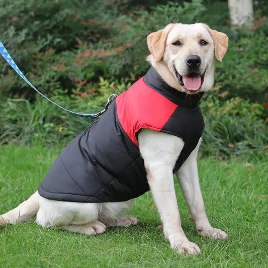 Cozy Pet Winter Vest: Keep your furry friend warm in style this seasonElevate Your Pet's Winter Style with the Cozy Pet Winter Vest: Keep Your Furry Friend Warm in Style This Season! 🐾❄️
Ensure your pet stays warm and fashionable duriSHOP ALL I WANTShop All I WantCozy Pet