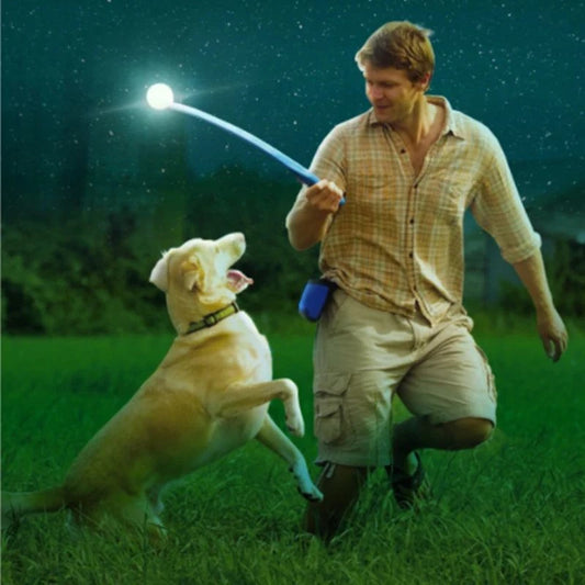 Shop All I Want SHOP ALL I WANT Pet Glowing Ball Toy 🐾✨ Pure Natural Rubber for Outdoor Fun