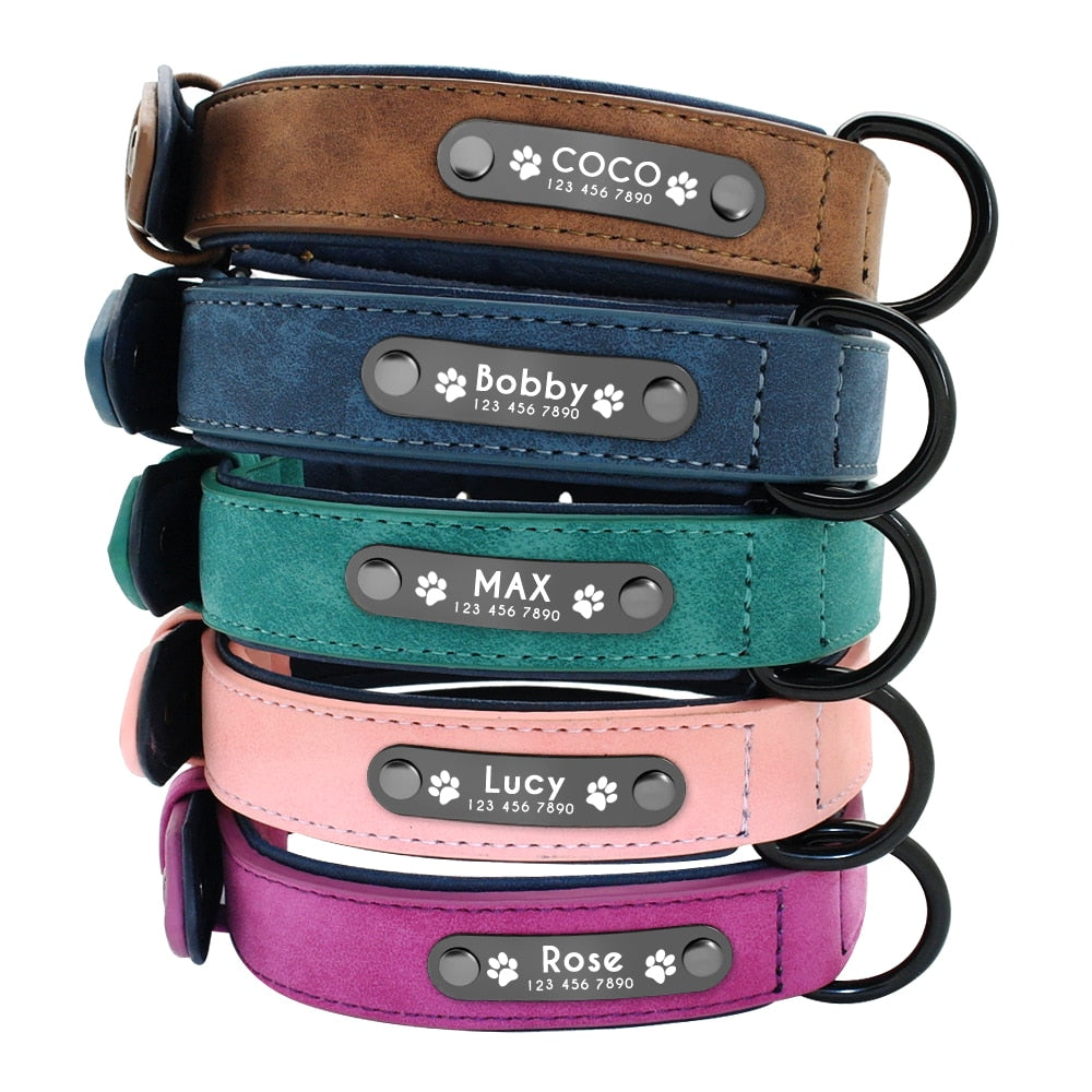 Shop All I Want SHOP ALL I WANT Personalized Name Dog Leash for Various Breeds