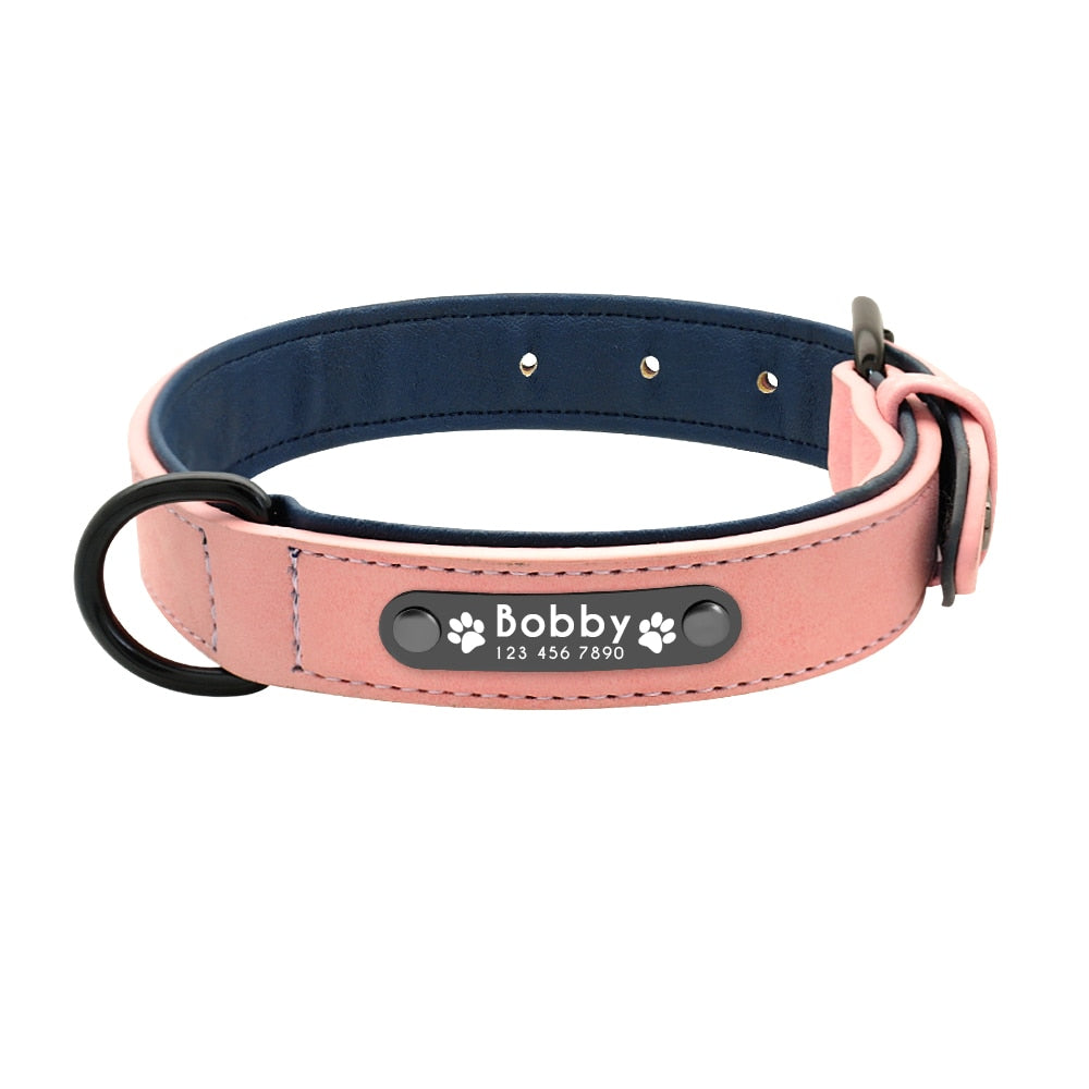 Shop All I Want Pink / S SHOP ALL I WANT Personalized Name Dog Leash for Various Breeds