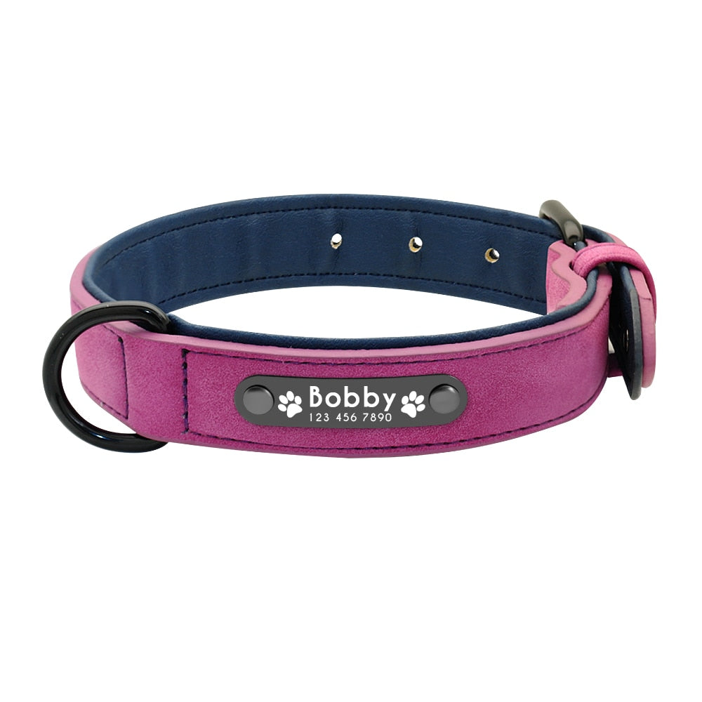 Shop All I Want Purple / S SHOP ALL I WANT Personalized Name Dog Leash for Various Breeds