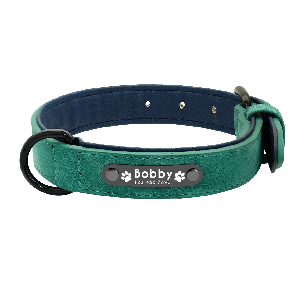 Shop All I Want Green / S SHOP ALL I WANT Personalized Name Dog Leash for Various Breeds