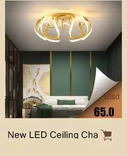 Acrylic LED Ceiling Chandelier with Remote for Indoor Spaces