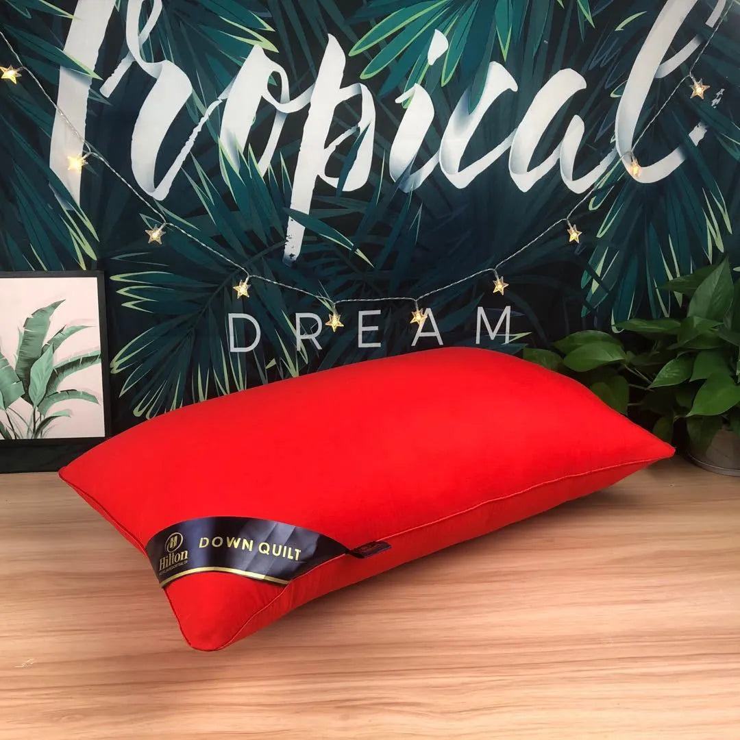 Shop All I Want 8 / Low pillow 500g Shop All I Want 🛏️ 100% Cotton Bounce Back Pillow