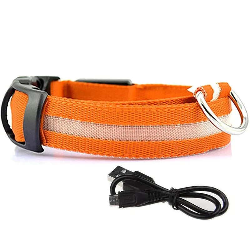 Shop All I Want Orange usb charging / S neck 35-43cm SHOP ALL I WANT Rechargeable, Waterproof Glow in the Dark Collar ! 🐾💡