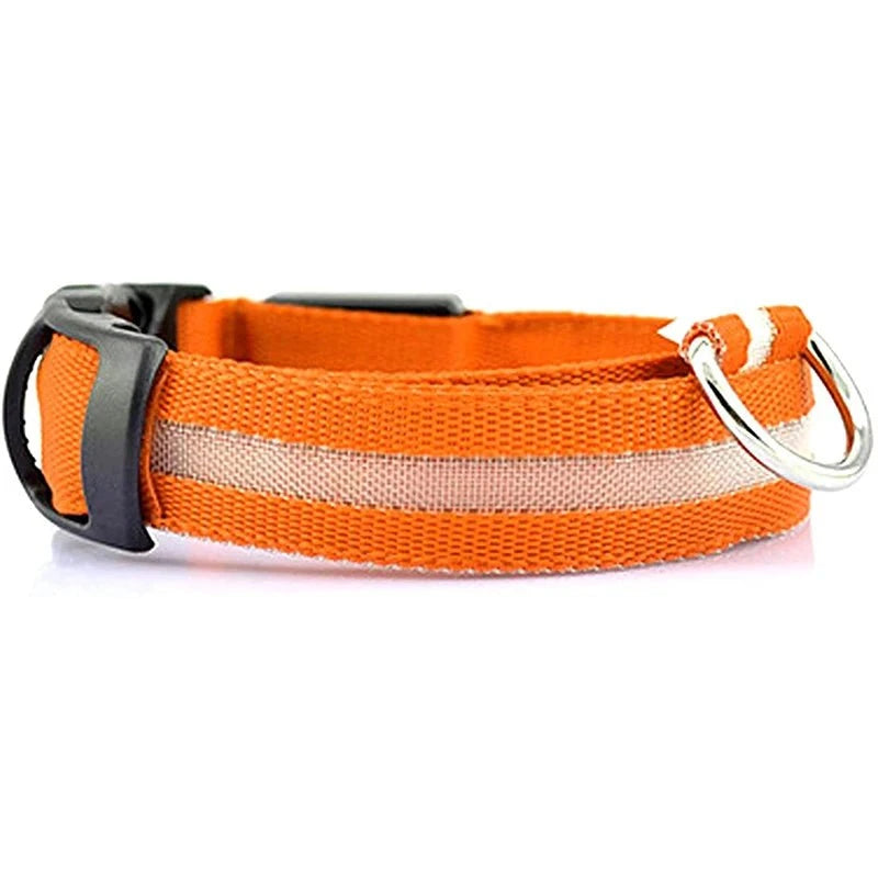 Shop All I Want Orange battery / S neck 35-43cm SHOP ALL I WANT Rechargeable, Waterproof Glow in the Dark Collar ! 🐾💡