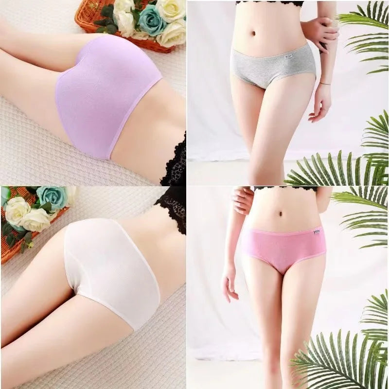 7PCS Cotton Panties Set | Comfortable Middle-Waisted Underwear for Women 🌷