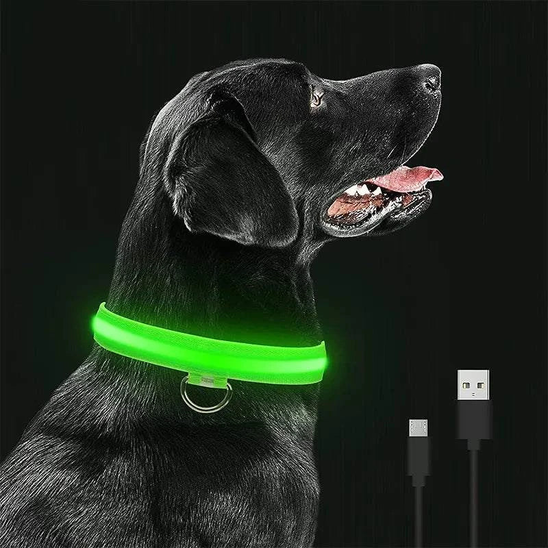 Shop All I Want SHOP ALL I WANT Rechargeable, Waterproof Glow in the Dark Collar ! 🐾💡