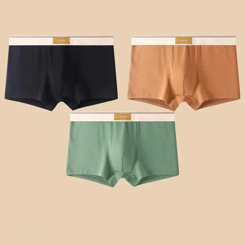 Shop All I Want Black Brown Green / XXL 60-70KG / 3pcs SHOP ALL I WANT 🩲 3PCS Men's Cotton Boxer Shorts – Comfortable and Breathable