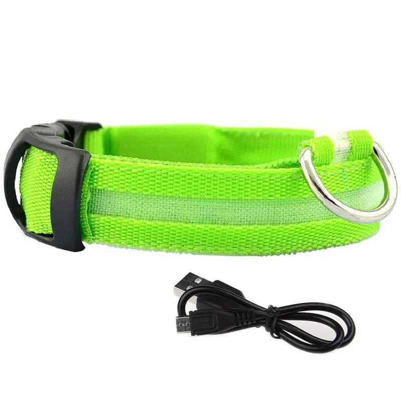 Shop All I Want Green usb charging / S neck 35-43cm SHOP ALL I WANT Rechargeable, Waterproof Glow in the Dark Collar ! 🐾💡