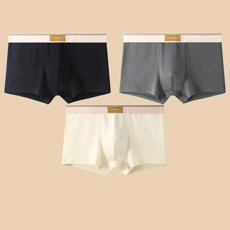 Shop All I Want Black DarkGray White / XXL 60-70KG / 3pcs SHOP ALL I WANT 🩲 3PCS Men's Cotton Boxer Shorts – Comfortable and Breathable