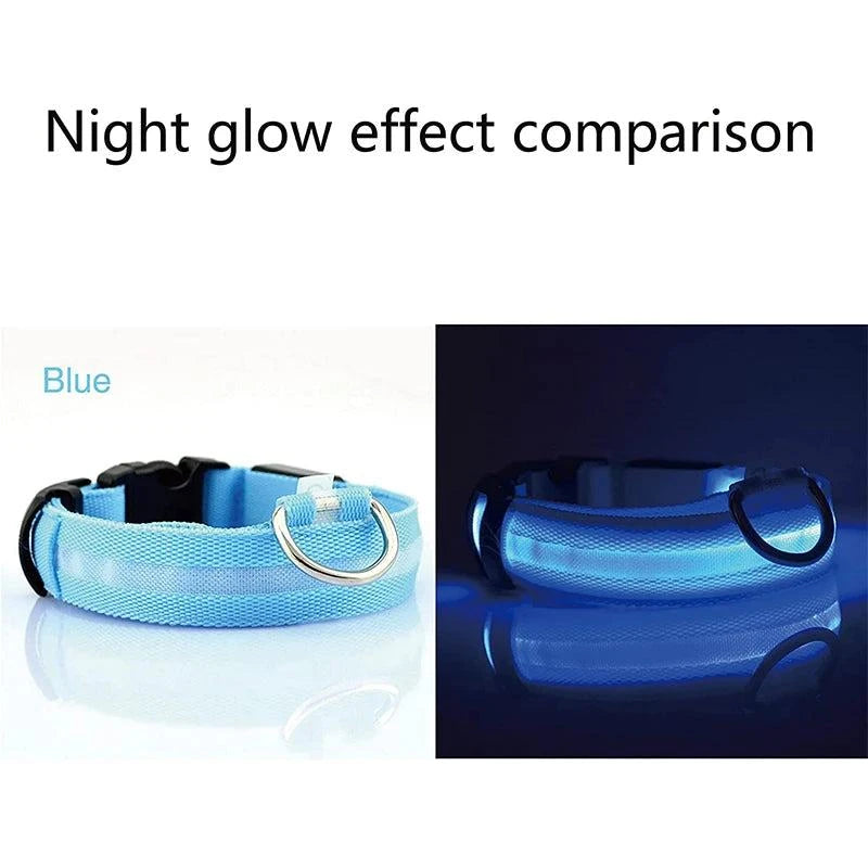 Shop All I Want SHOP ALL I WANT Rechargeable, Waterproof Glow in the Dark Collar ! 🐾💡