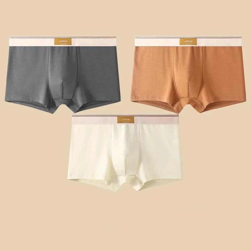 Shop All I Want DarkGray Brown White / XXL 60-70KG / 3pcs SHOP ALL I WANT 🩲 3PCS Men's Cotton Boxer Shorts – Comfortable and Breathable