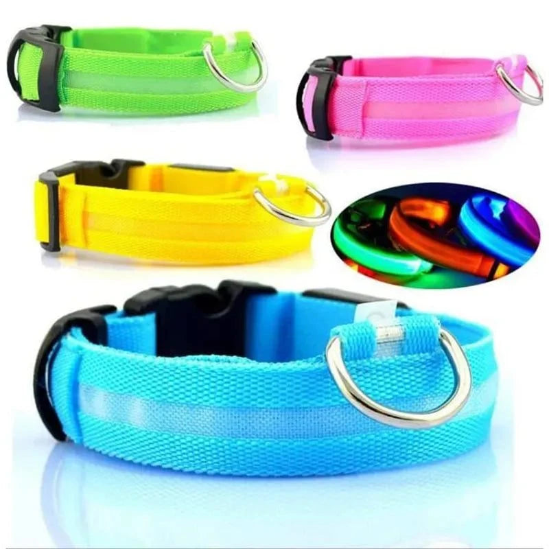 Shop All I Want SHOP ALL I WANT Rechargeable, Waterproof Glow in the Dark Collar ! 🐾💡