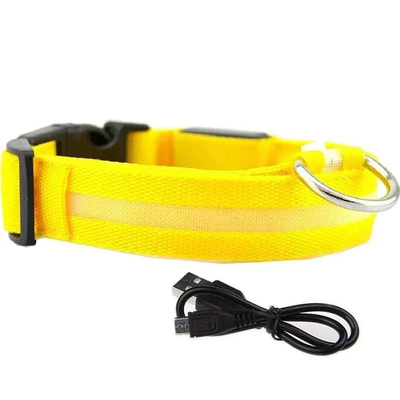 Shop All I Want Yellow usb charging / S neck 35-43cm SHOP ALL I WANT Rechargeable, Waterproof Glow in the Dark Collar ! 🐾💡