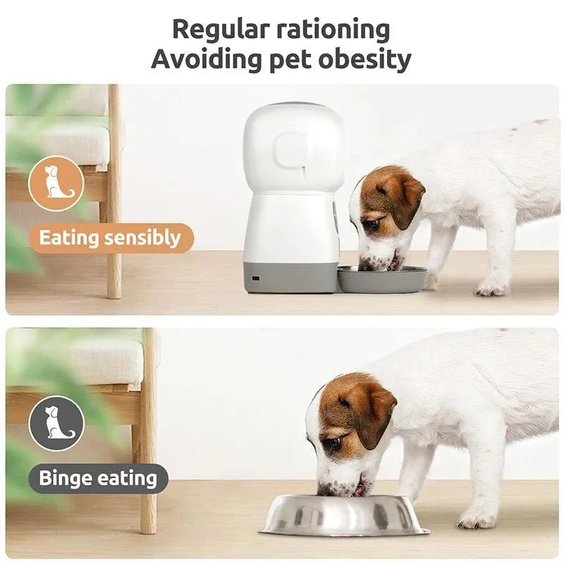 Smart Cat Dog Feeder 🐾 - Shop All I Want