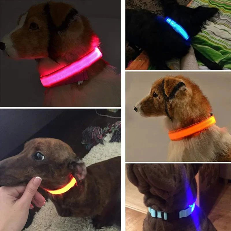 Shop All I Want SHOP ALL I WANT Rechargeable, Waterproof Glow in the Dark Collar ! 🐾💡