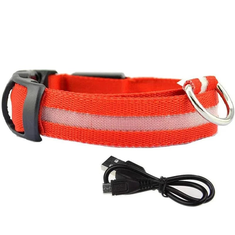 Shop All I Want Red usb charging / S neck 35-43cm SHOP ALL I WANT Rechargeable, Waterproof Glow in the Dark Collar ! 🐾💡