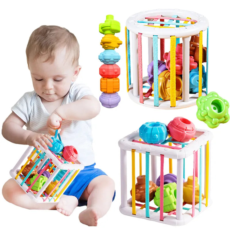 Shop All I Want SHOP ALL I WANT Baby Montessori Learning Educational Toy 0-12 Months