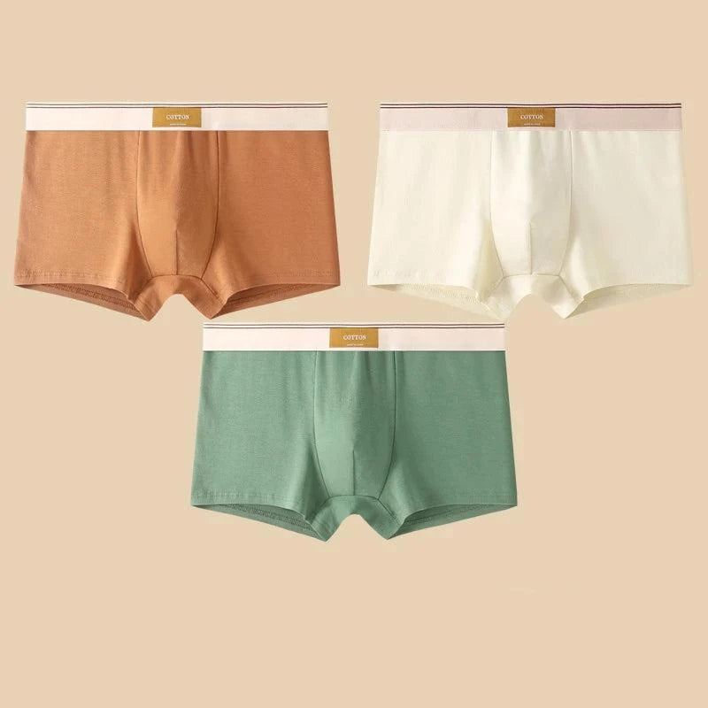 Shop All I Want Brown White Green / XXL 60-70KG / 3pcs SHOP ALL I WANT 🩲 3PCS Men's Cotton Boxer Shorts – Comfortable and Breathable