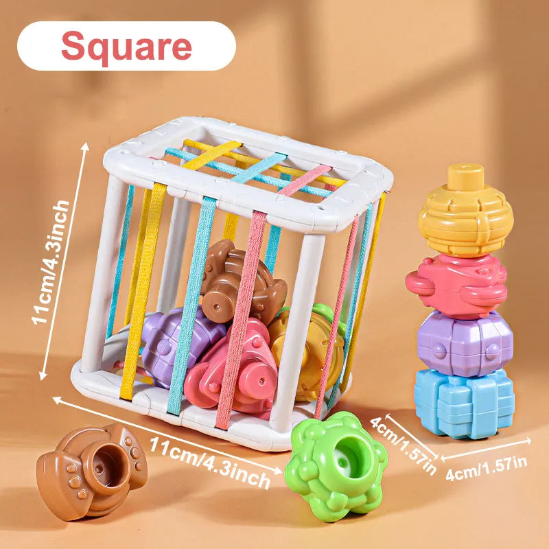 Shop All I Want Square SHOP ALL I WANT Baby Montessori Learning Educational Toy 0-12 Months